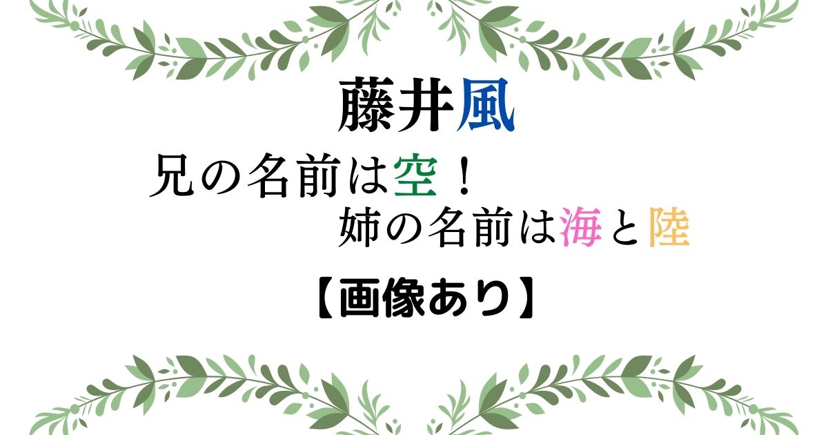 藤井風の兄の名前は藤井空 姉の名前は海と陸 美男美女兄弟の画像アリ ひだまりの声